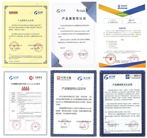 金萬維 國產化替代吹響沖鋒號,傳統軟件如何快速落地到 國產化 環境中